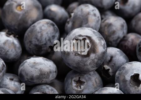 The surface is covered with a thick layer of blueberries, marsh crops. Natural background. Fresh blueberry background. Stock Photo