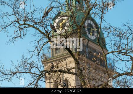 Alter Peter, spring, Munich city center Stock Photo