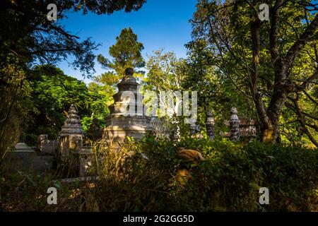 Buddha statue in Plum Village For sale as Framed Prints, Photos