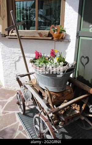 Zinc tub with spring flower decorations in cart, house, shutter, rural, Germany, Bavaria, Upper Bavaria, Werdenfelser Land, Mittenwald, Stock Photo