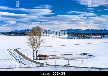 Germany, Bavaria, Upper Bavaria, Tölzer Land, Dietramszell, district Baiernrain, winter landscape and town view against the Alps Stock Photo