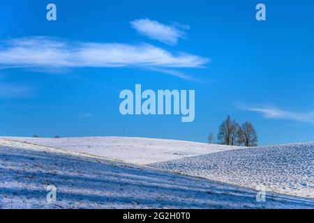 Germany, Bavaria, Upper Bavaria, Tölzer Land, Dietramszell, Ried district, winter landscape Stock Photo