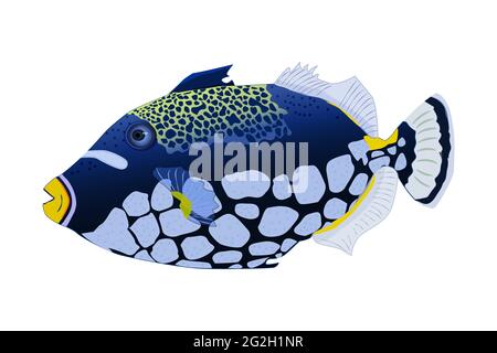 Tropical fish isolated on white background. Clown triggerfish. Sea animal, maritime character. Balistoides conspicillum. Side view.Vector illustration Stock Vector