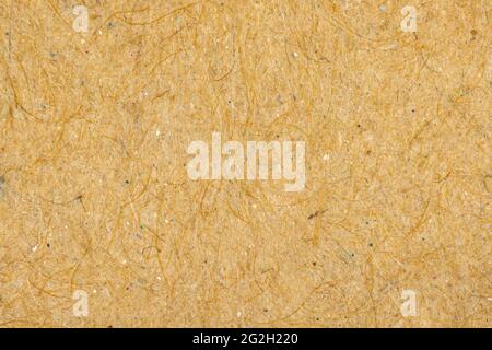 Grainy and high detailed cardboard texture background, craft paper surface close-up photo Stock Photo