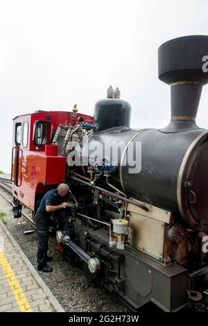 Steam locomotive Schafbergbahn, Wolfgangsee, Schafberg, Salzburger Land, Austria Stock Photo