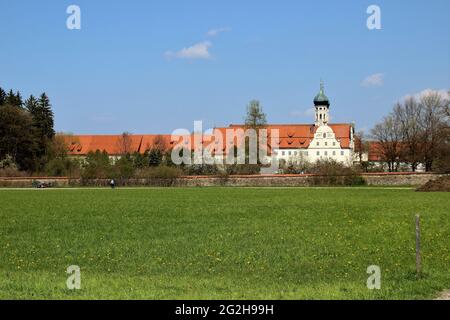 Basilica St. Benedikt, Benedictine Abbey Kloster Benediktbeuern, in the foreground dandelion meadow in spring, old stone wall and orchard, Benediktbeuern, Upper Bavaria, Bavaria, Germany Stock Photo