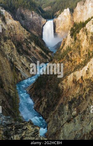 Lower Falls of the Yellowstone River drops into the canyon below as viewed from the famous tourist destination viewpoint at Artist Point Stock Photo