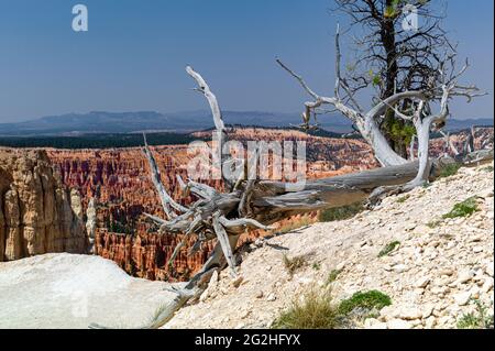 Bryce Point - a vista point overlooking the Bryce Canyon amphitheater and a popular spot to watch the sunrise. Bryce Canyon National Park, Utah, USA Stock Photo