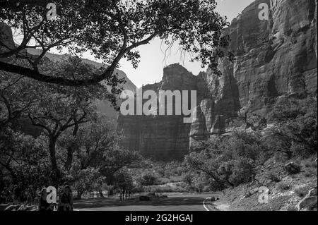 Valley view in black and white in Zion National Park, Utah, USA Stock Photo