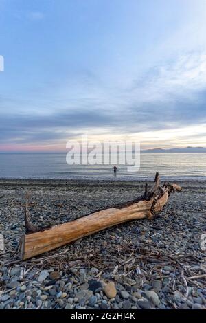 Man bathes in the morning at Tapu Bay, Nelson / Tasman Region, South Island, New Zealand Stock Photo