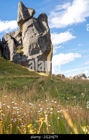 Castle Hill at an elevation of 900 m, west of Christchurch east of Greymouth on State Highway 73, South Island, New Zealand Stock Photo