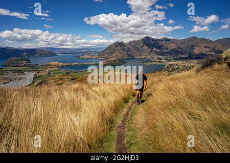 Rocky Hill, hike on windswept paths to the scenic meadow hill, Wanaka, in the Queenstown-Lakes District of the Otago region on the South Island of New Zealand Stock Photo