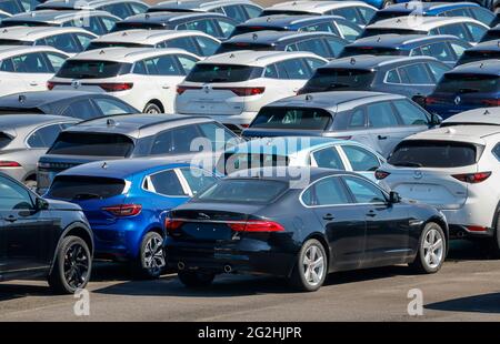 Duisburg, North Rhine-Westphalia, Germany - new cars, transshipment point, car terminal in the port of Duisburg. Stock Photo