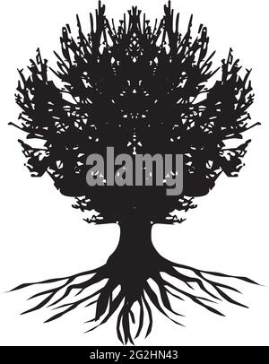 Oak tree logo design vector template Stock Vector