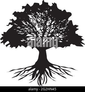 Oak tree logo design vector template Stock Vector