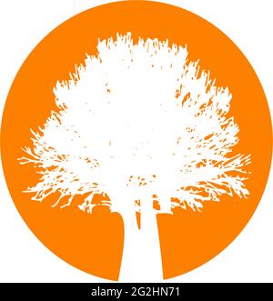Oak tree logo design vector template Stock Vector