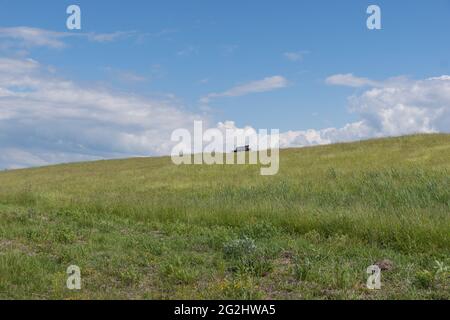 View of a bench on the dike on the North Sea. Stock Photo
