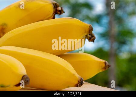 Fresh Banana Isolated. Bunch Of Ripe Organic Bananas On White Background.  Stock Photo, Picture and Royalty Free Image. Image 155940267.