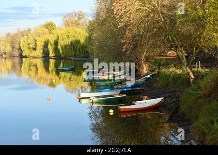 Germany, Baden-Wuerttemberg, Old Rhine near Leopoldshafen Stock Photo