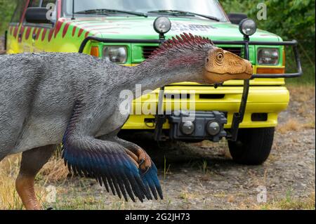 Dinosaur Troodon (similar to the Velociraptor) as a model in Dinopark Münchehagen near Hanover. Lived in North America about 75 million years ago (Cretaceous Period), was about 2.5 m long and weighed only 50 kg. The car from JURASSIC PARK. Stock Photo