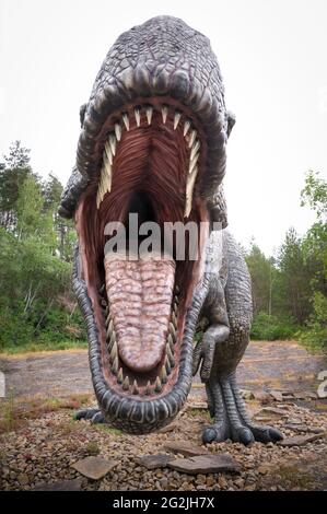 Dinosaur Tyrannosaurus as a model in Dinopark Münchehagen near Hanover. Lived in North America about 66 million years ago, was about 13m long and weighed 6t. Model: Wild Creations UK / Universal Pictures DE [M] Disturbing other dinosaurs have been retouched. Stock Photo