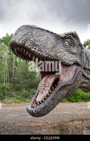 Dinosaur Tyrannosaurus as a model in Dinopark Münchehagen near Hanover. Lived in North America about 66 million years ago, was about 13m long and weighed 6t. Model: Wild Creations UK / Universal Pictures DE [M] Disturbing other dinosaurs have been retouched. Stock Photo