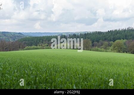 Landscape in the Bergschen Land, Remscheid, Wuppertal, North Rhine-Westphalia. Stock Photo