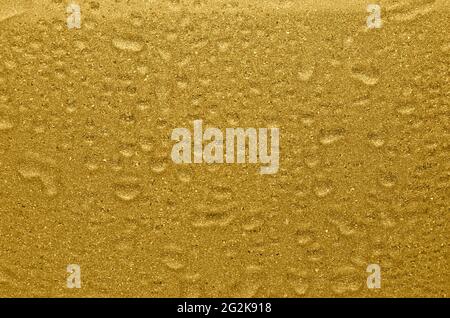 Golden shimmer and glitter wet texture with drops. Rich golden background. Stock Photo