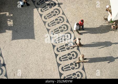 Long shadows of people on a square with pattern of paving stones in Lisbon photographed from above Stock Photo