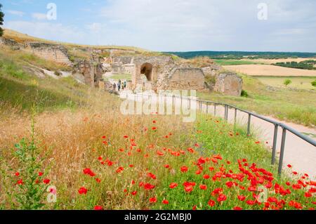Amphitheatre. Segobriga Archaeological Park, Cuenca province, Castilla La Mancha, Spain. Stock Photo