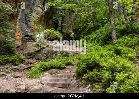 Hiking trail with stairs between rocks in the forest. Stock Photo