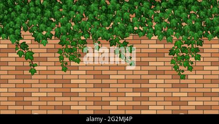 Ivy on brick wall. Green ivy leaves climbing on brown brick wall of building,  house or fence. Summer foliage overgrown, garden liana and branches. Se Stock Vector