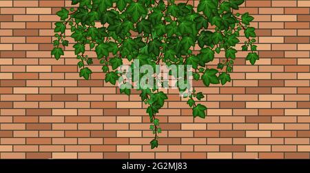 Brick wall with ivy leaves falling. Green ivy foliage on brown brick, house wall or fence. Cartoon background pattern. Vector illustration Stock Vector