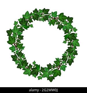 Ivy leaves wreath. Circular green ivy garland isolated on white background. Decorative frme border. Vector illustration Stock Vector