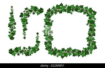 Ivy leaves decorative borders and frame. Floral  pattern. Green ivy wreath and curled swirl climber branches. Vector illustration Stock Vector