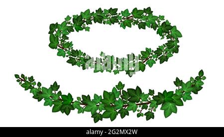 Green ivy wreath, ivy leaves crown garlands. Decorative frame and border isolated on white background. Summer garden foliage climbing branch. Vector i Stock Vector