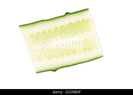 Green cucumber on white. Cucumber slice isolated. Stock Photo