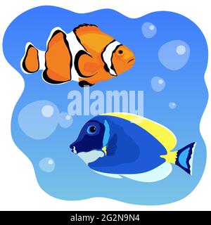 Tropical fish vector illustration. Clown fish. Surgeon fish. Stock Vector