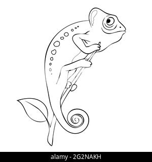 Cute chameleon on the branch vector illustration. Coloring book page Stock Vector