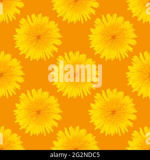 Seamless pattern made from dandelion yellow flowers on an orange background. Stock Photo