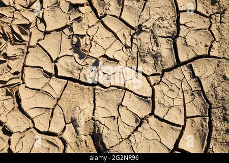 Cracked earth background. Parched Earth. Soil sonservation erosion. Stock Photo