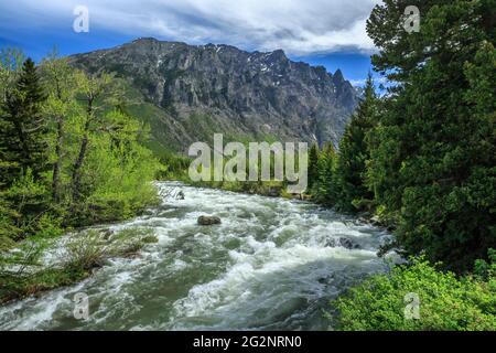 east rosebud creek flowing from the beartooth mountains in custer national forest near roscoe, montana Stock Photo
