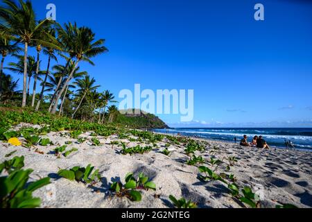 Grand Anse beach Stock Photo