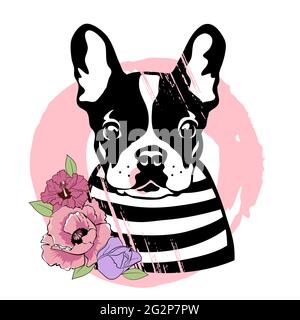French bulldog with flowers. Cute black and white dog in a striped sweater. Vector illustration. Stock Vector