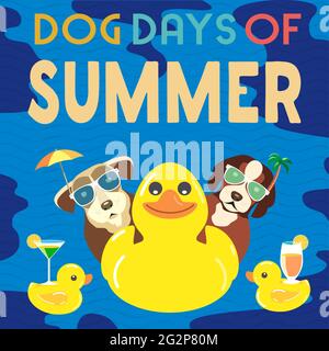 Dog days of Summer Time for adventure Stock Vector