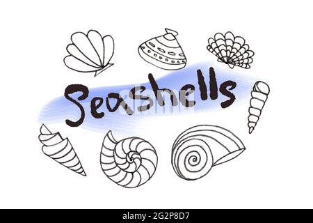 Marine summer seamless Line art contour. Sea shels monochrome texture background white Stock Photo