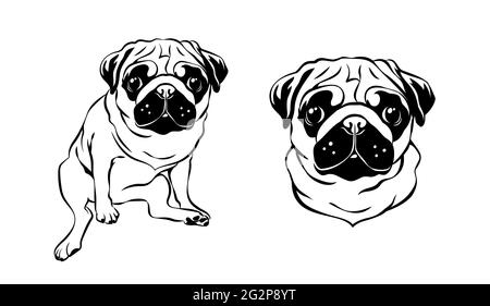 Cute pug dog portrait. Line art, vector illustration. Stock Vector