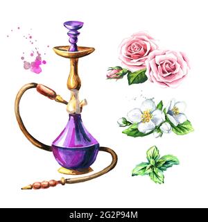 Colorful hookah with rose, mint and jasmine flower. Watercolor hand drawn illustration,  isolated on white background Stock Photo