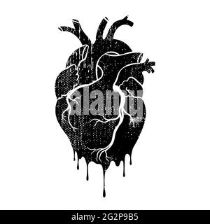 Grunge human heart. Anatomical realistic dripping heart, line art, vector illustration. Stock Vector