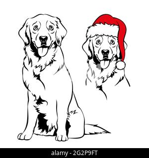 Golden retriver with Santa hat. Christmas Labrador dog portrait. Merry woofmas text. Vector illustration. Stock Vector